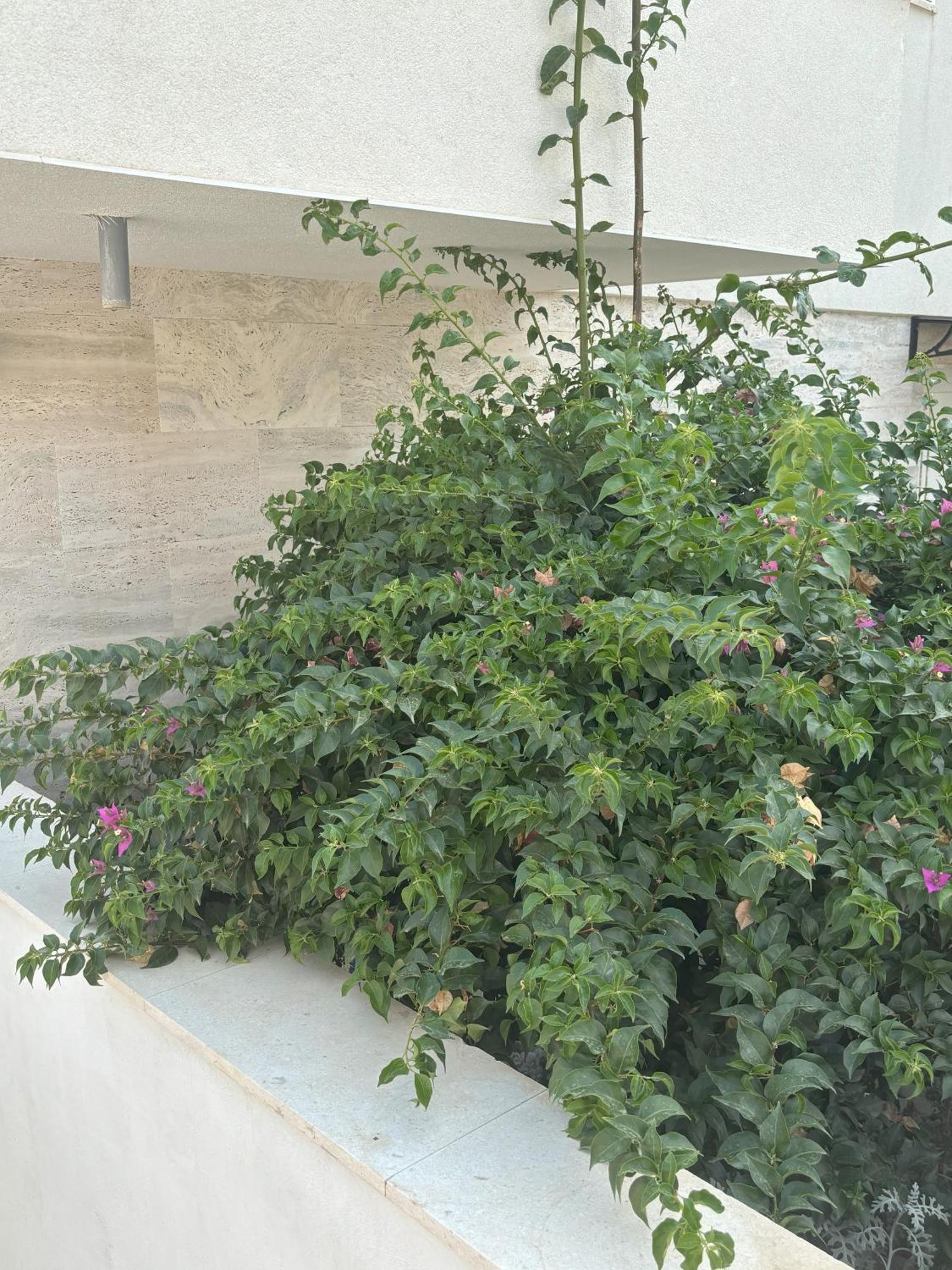 Vila Regina Apartment Paloma With Swimming Pool Jezera Exterior foto